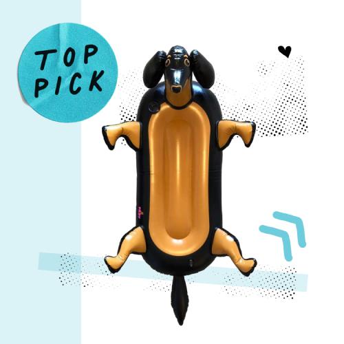 Sausage dog